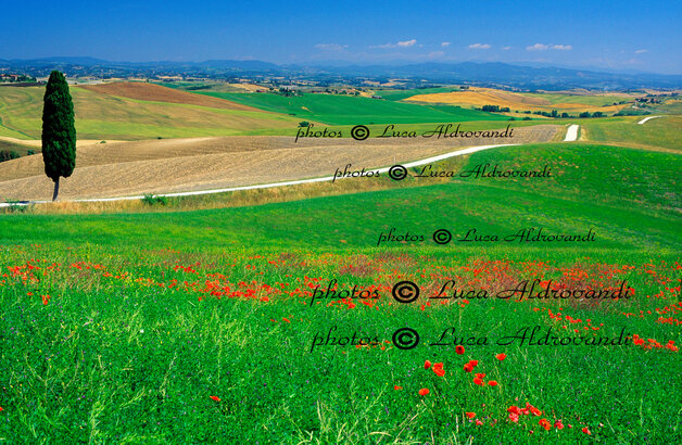Fotografo con treppiede che scatta all’alba sulle colline della Val d’Orcia