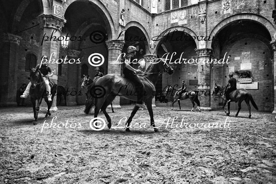 Stampante professionale Fine Art che stampa una foto a colori